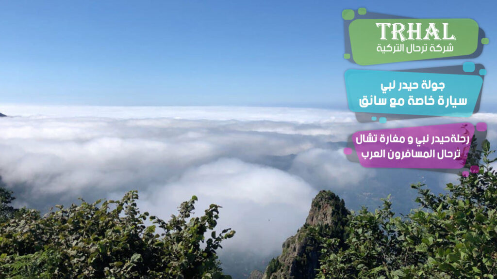 جولة حيدر نبي