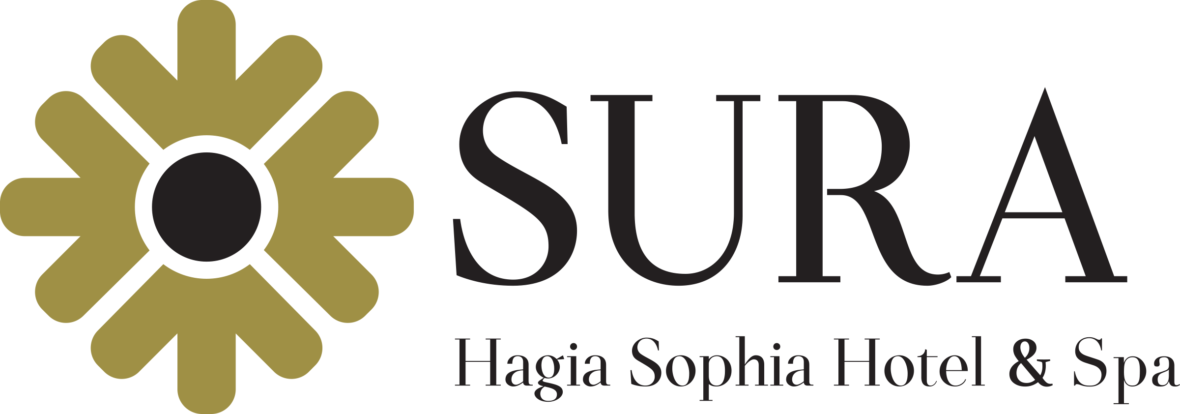 مجموعة فنادق اسطنبول