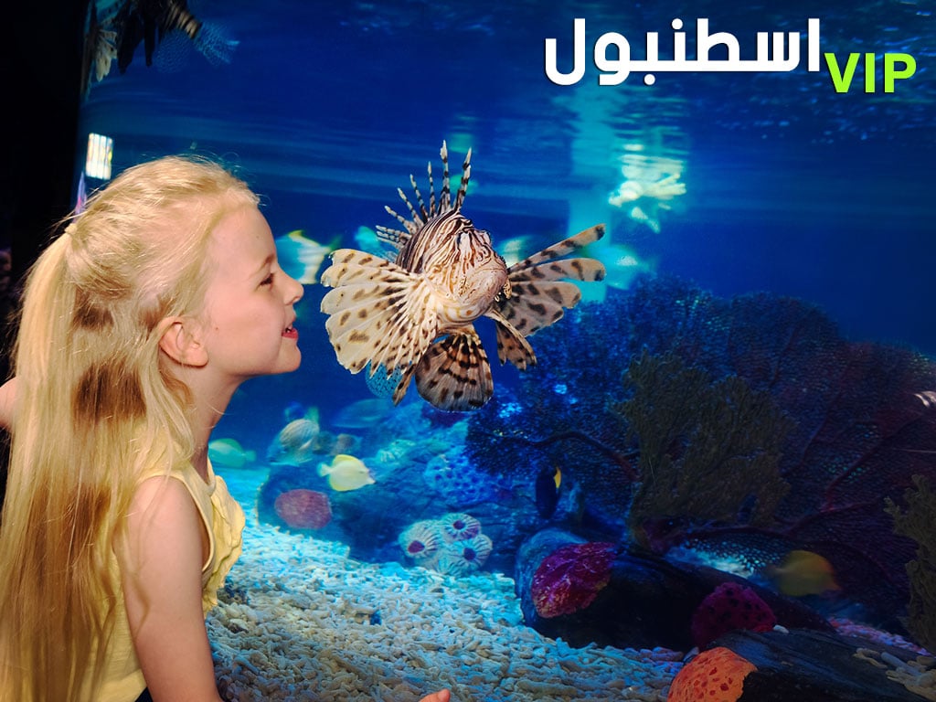 سيارة مع سائق في اسطنبول