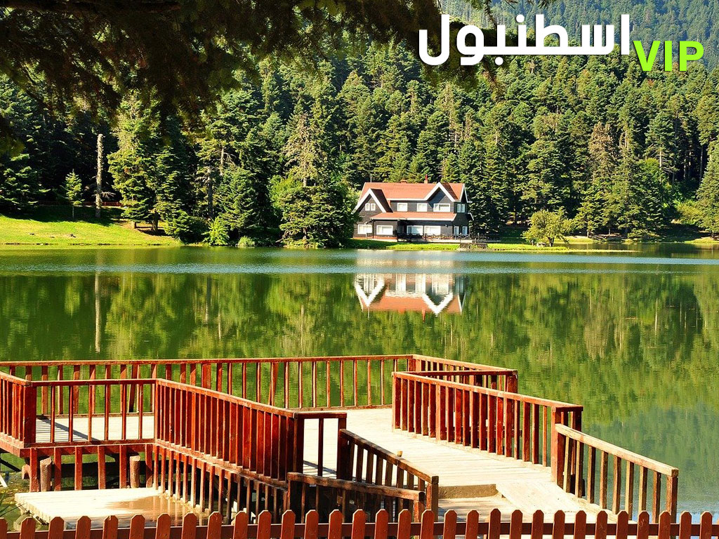 سيارة مع سائق في اسطنبول