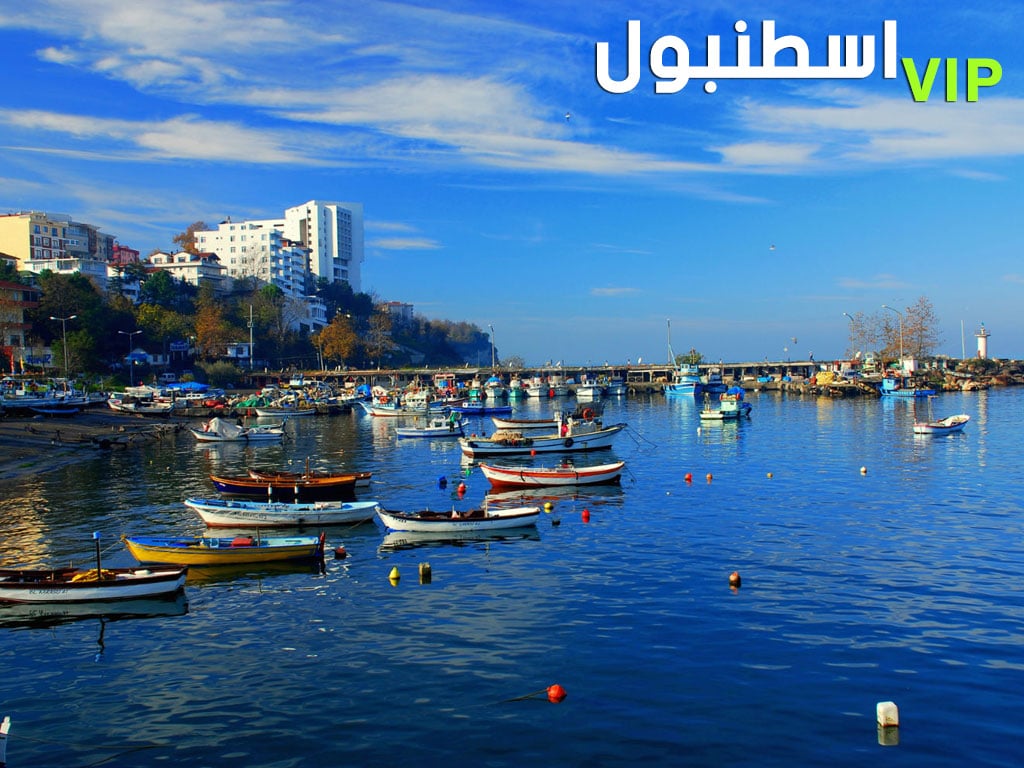 سيارة مع سائق في اسطنبول