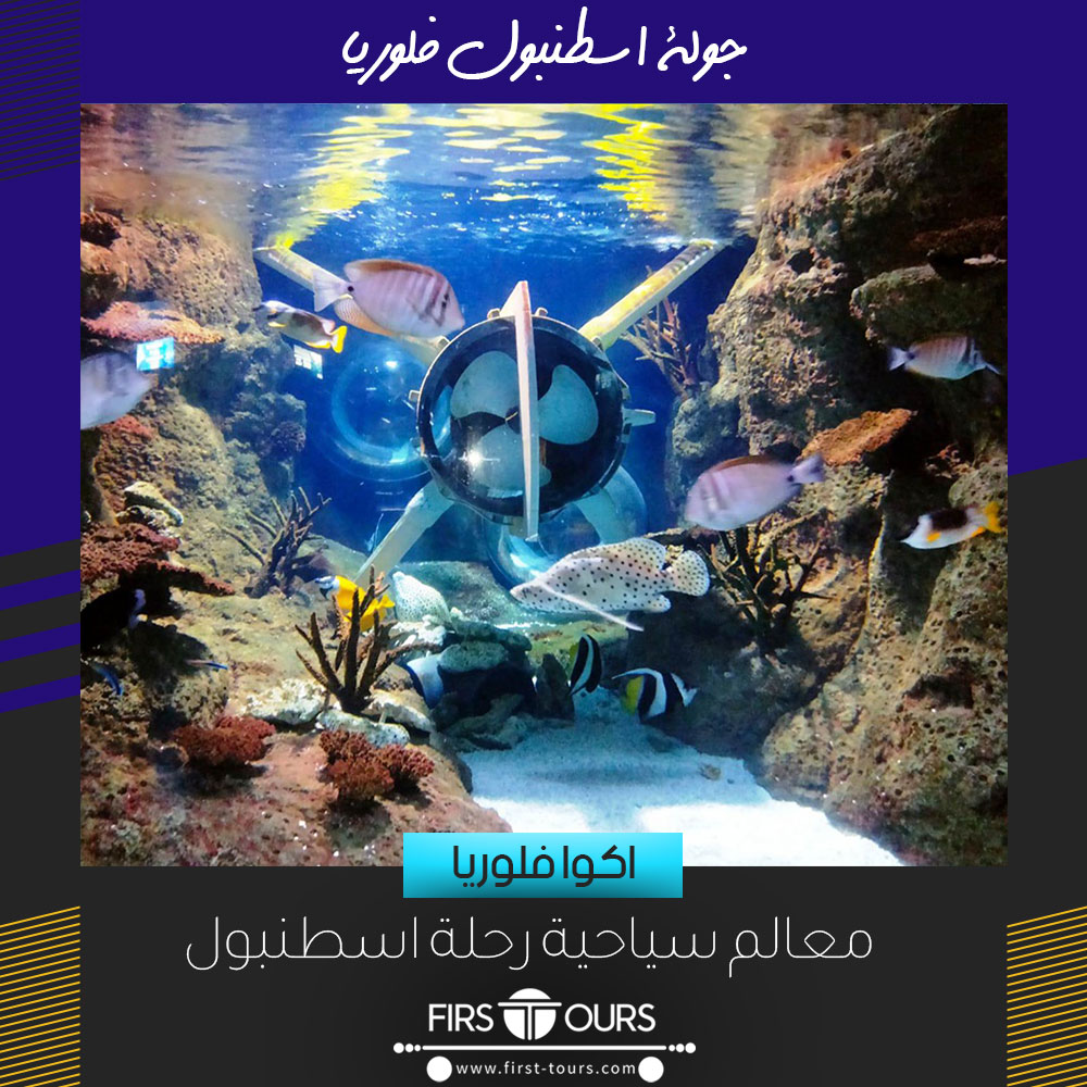 نشاطات رحلة فلوريا